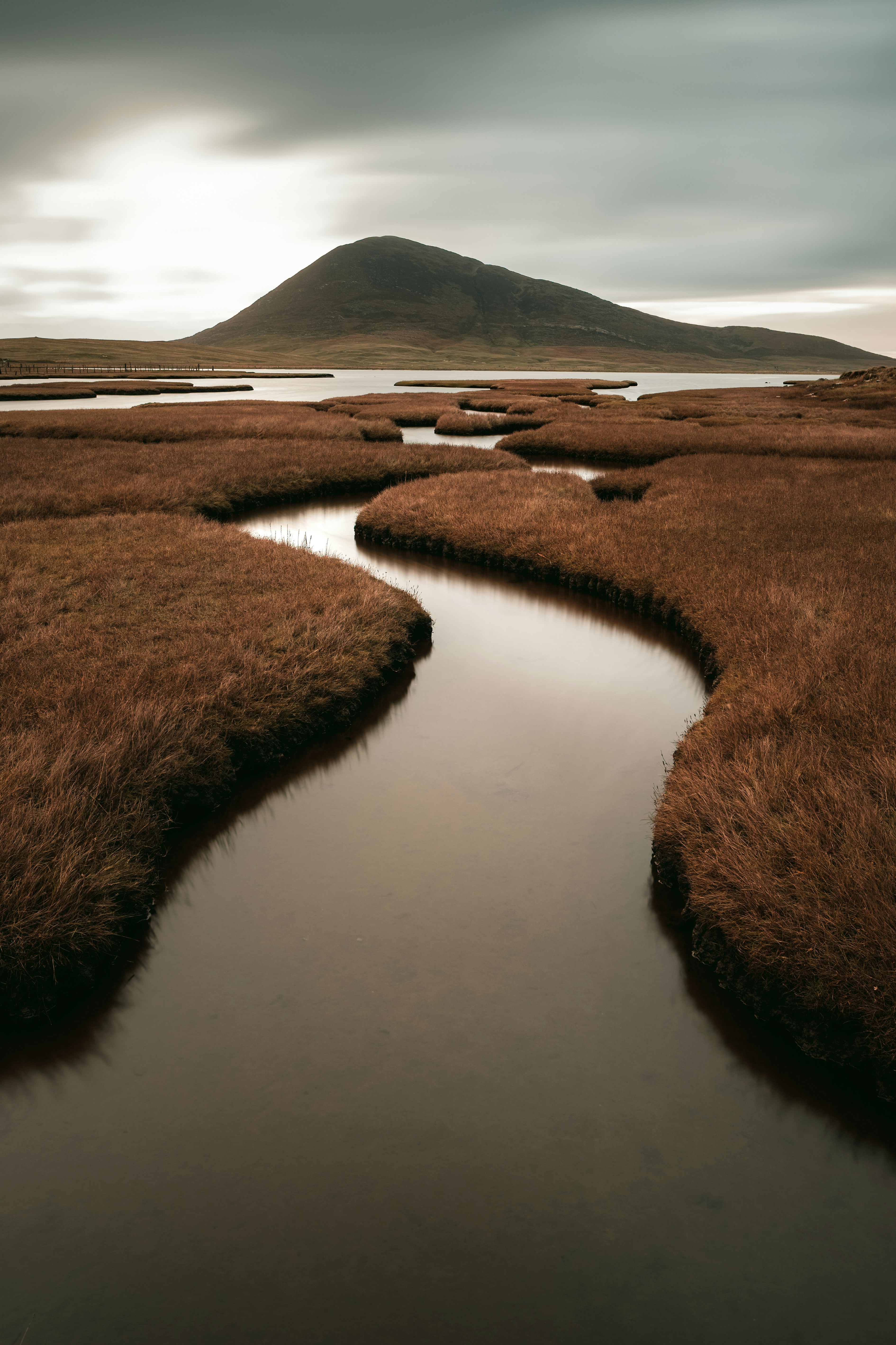 Nature background